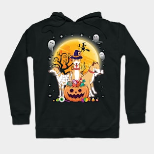 Whippets Dog Mummy Witch Moon Ghosts Happy Halloween Thanksgiving Merry Christmas Day Hoodie